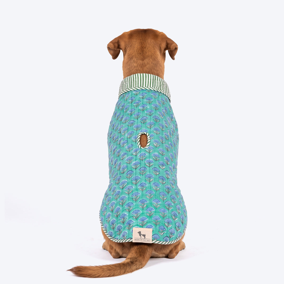 HUFT Jaipuri Gul Block-Printed Jacket For Dog - Turquoise & Green