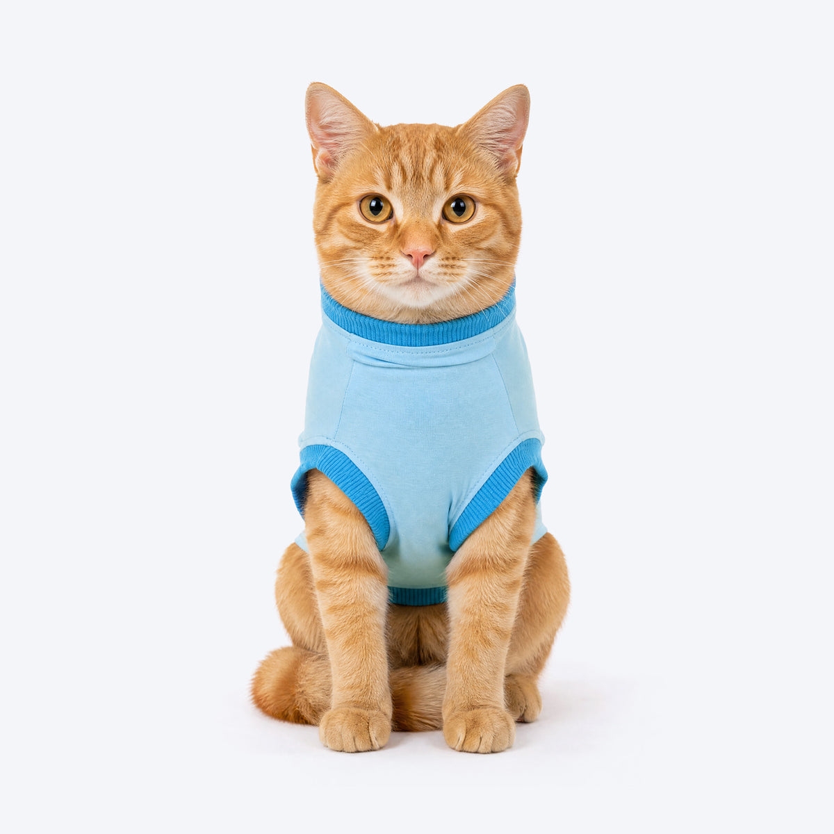 HUFT Peek -A- Meow T-Shirt For Cat - Blue