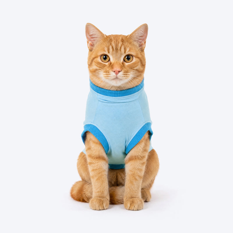 HUFT Peek -A- Meow T-Shirt For Cat - Blue