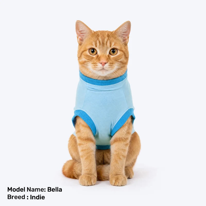 HUFT Peek -A- Meow T-Shirt For Cat - Blue - Heads Up For Tails
