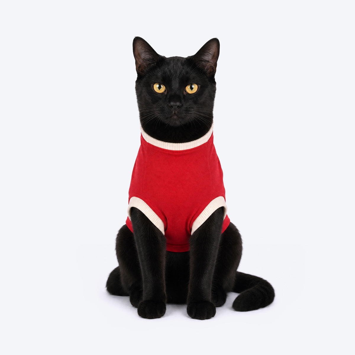 HUFT Bear Hug T-Shirt For Cat - Red