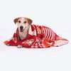HUFT Bear Hug Blanket For Dog & Cat - Red