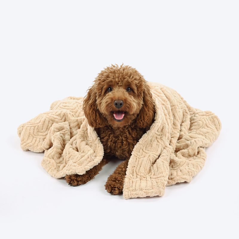 HUFT Plush Comfort Blanket For Dog & Cat - Beige