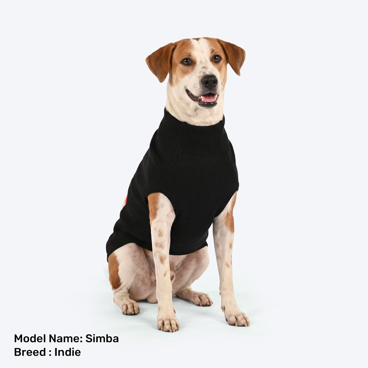 HUFT Cosy Bear Sweater For Dog - Black