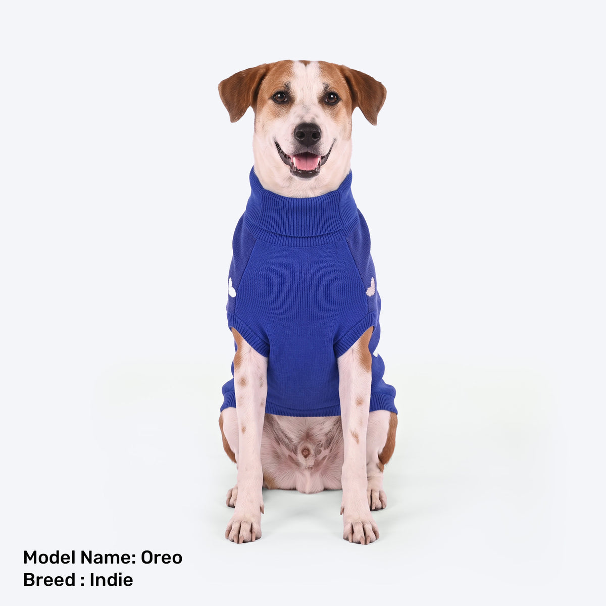 HUFT Koko Koala Sweater For Dog - Dark Blue