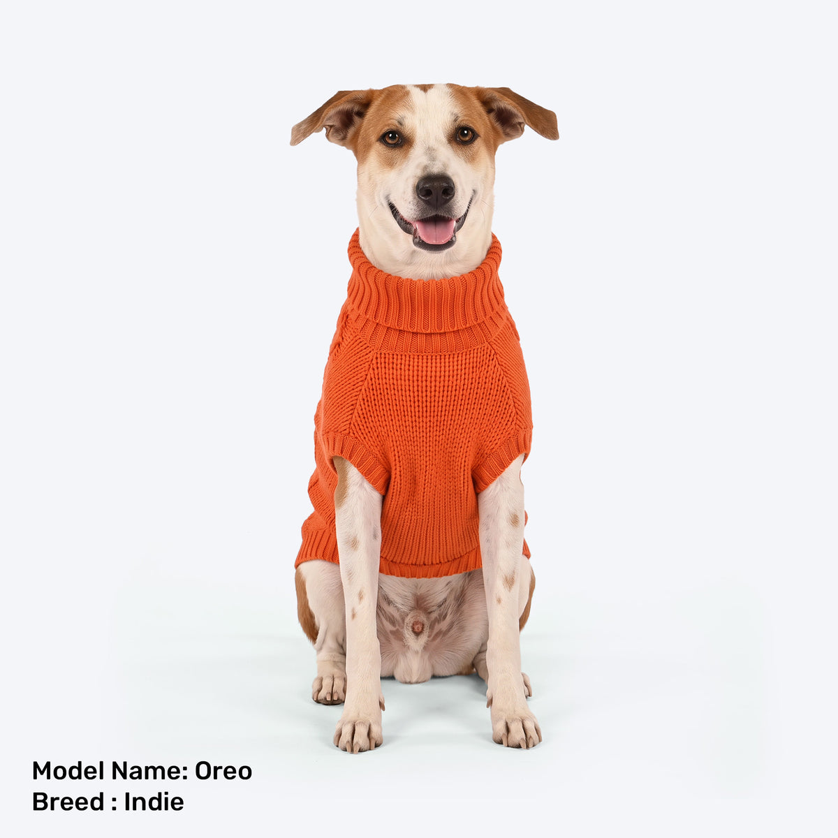 HUFT Toasty Knit Sweater For Dog - Orange