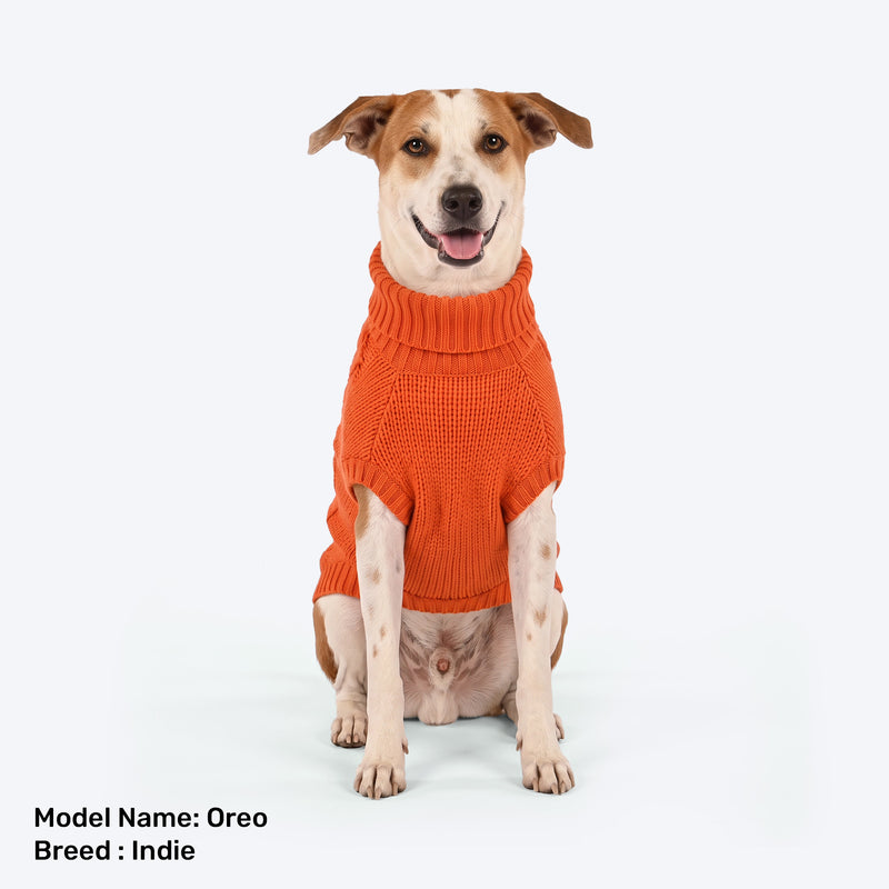 HUFT Toasty Knit Sweater For Dog - Orange