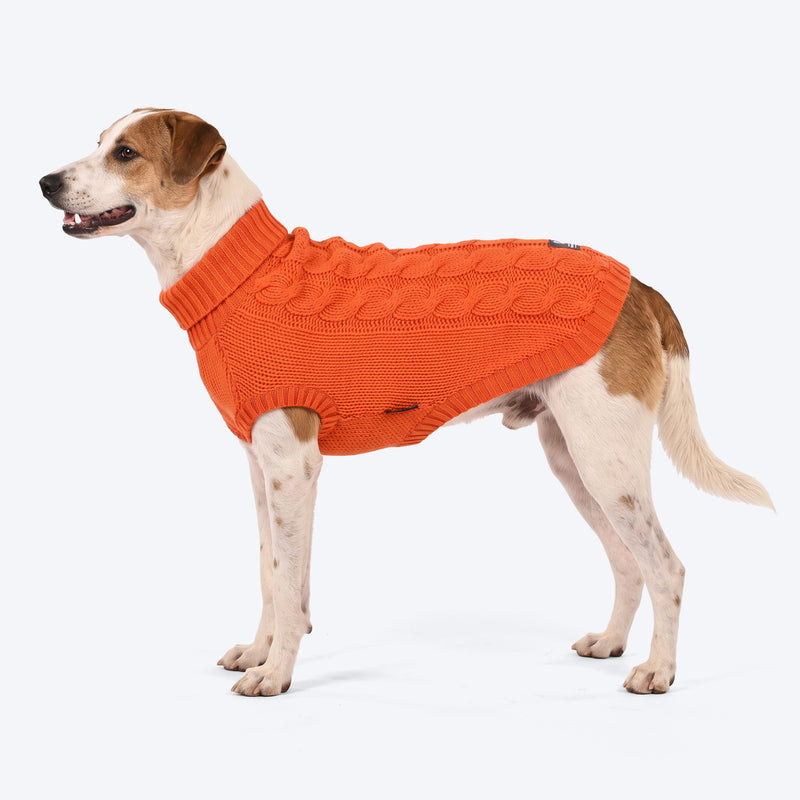 HUFT Toasty Knit Sweater For Dog - Orange