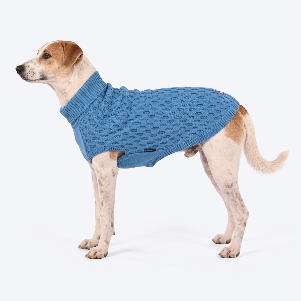 HUFT Cozy Knit Sweater For Dog - Blue