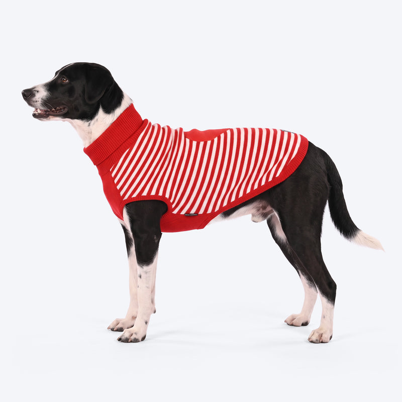 HUFT Happy Heart Sweater For Dog - Red