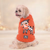 HUFT Ziggy Buddy Sweater For Dog - Orange