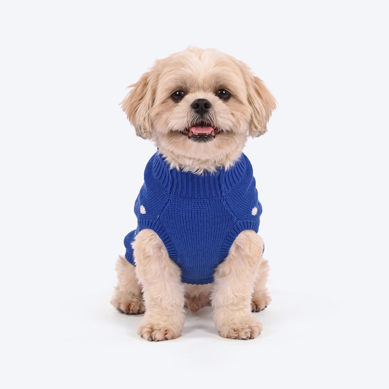 HUFT Peppy Penguin Sweater For Dog - Blue