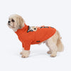 HUFT Ziggy Buddy Sweater For Dog - Orange