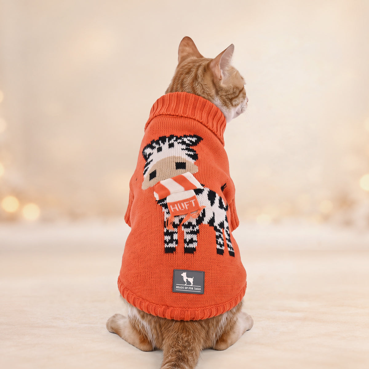 HUFT Ziggy Buddy Sweater For Cat - Orange