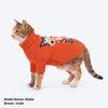 HUFT Ziggy Buddy Sweater For Cat - Orange