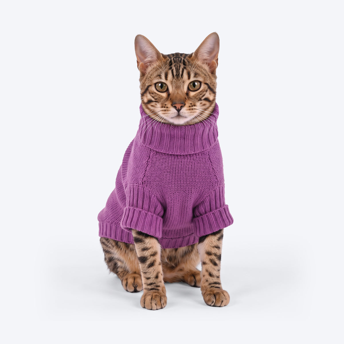 HUFT Fluffy Bunny Sweater For Cat - Lavender