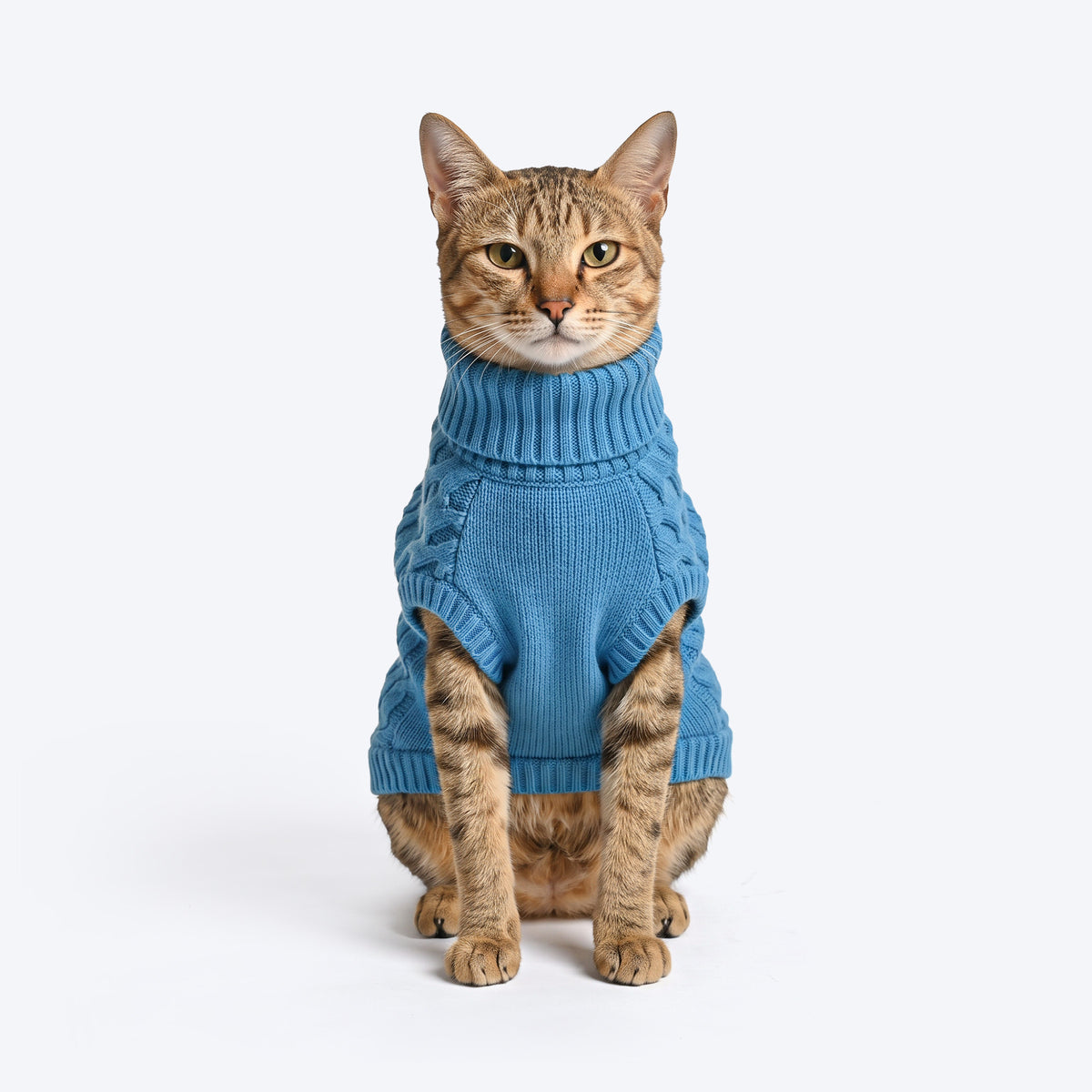 HUFT Cozy Knit Sweater For Cat - Blue