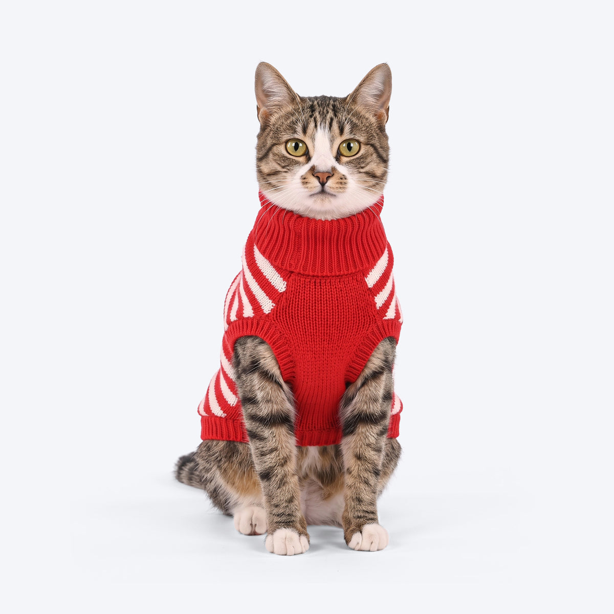 HUFT Happy Heart Sweater For Cat - Red