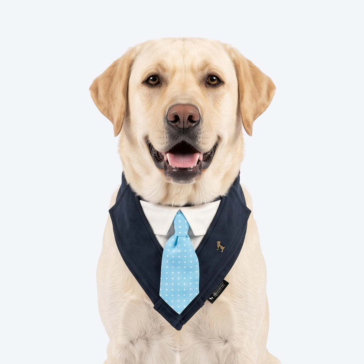 HUFT The Gentleman Bandana For Dog - Blue