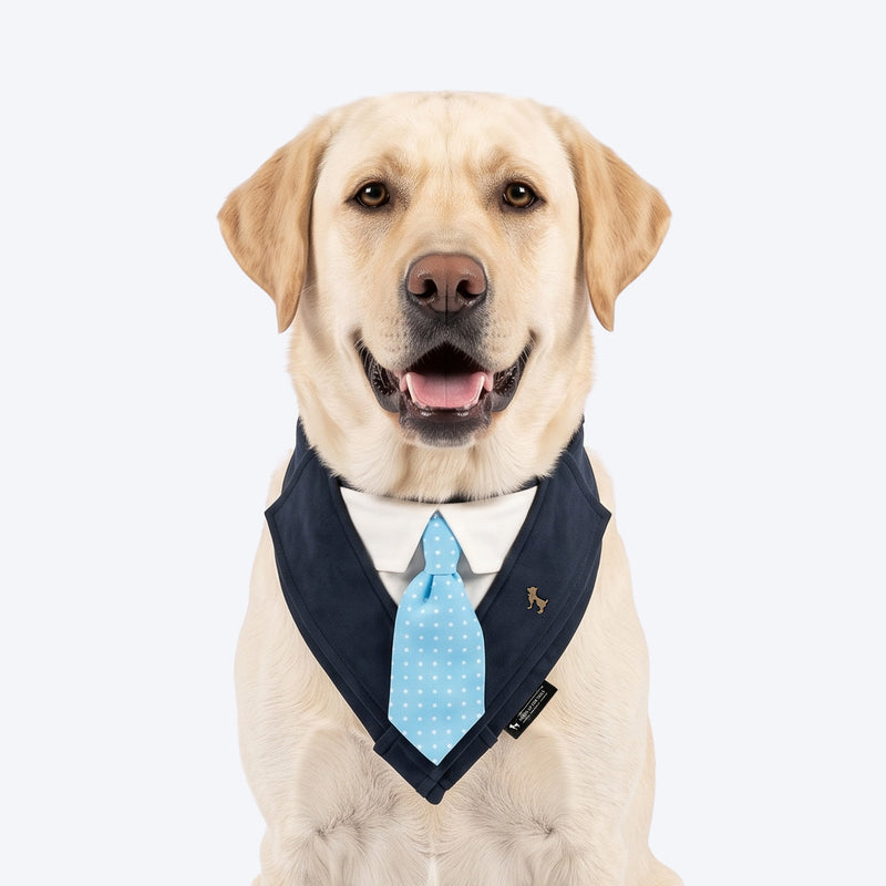 HUFT The Gentleman Bandana For Dog - Blue
