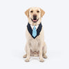 HUFT The Gentleman Bandana For Dog - Blue