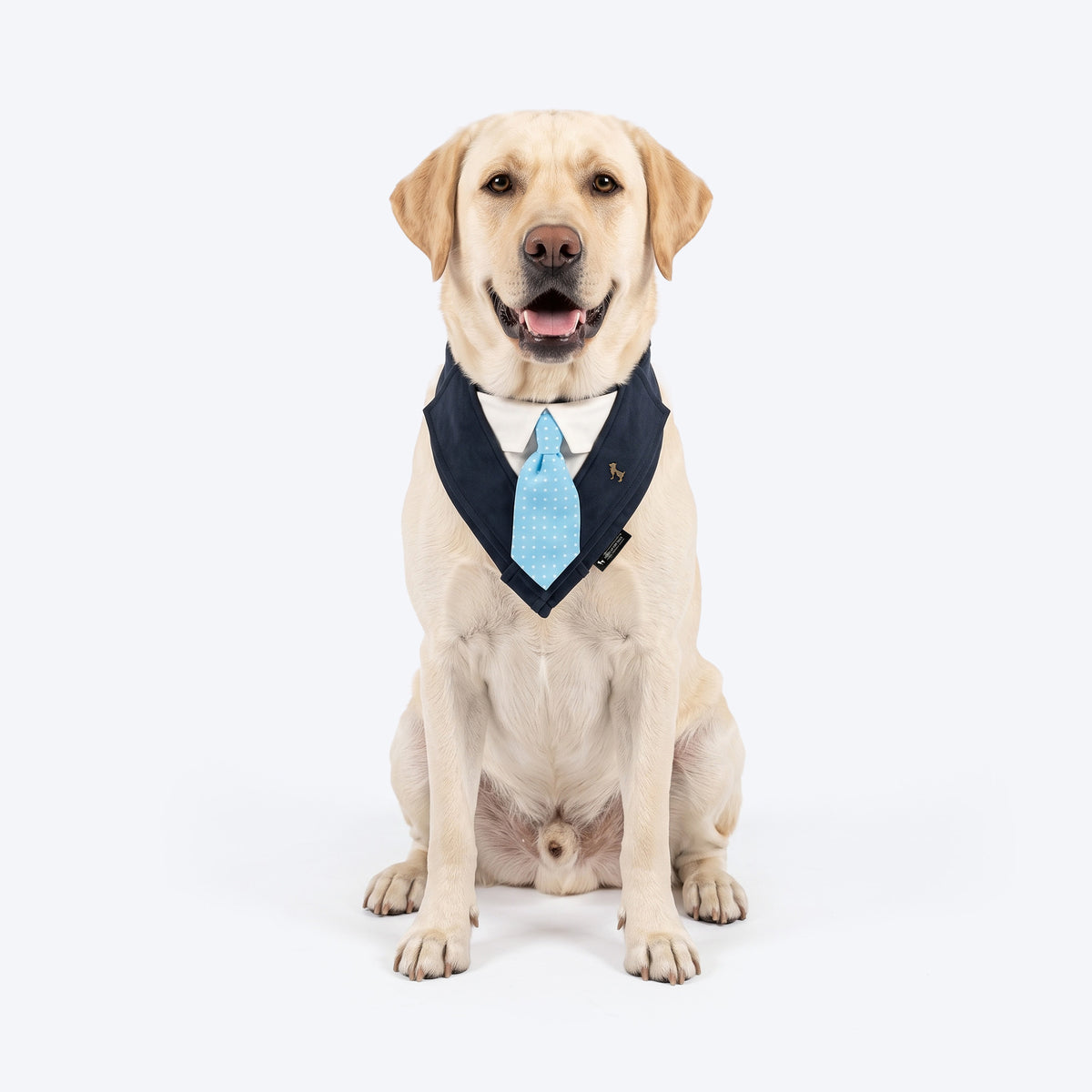 HUFT The Gentleman Bandana For Dog - Blue