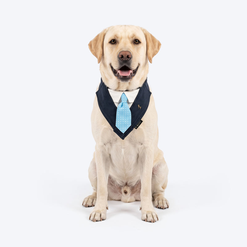 HUFT The Gentleman Bandana For Dog - Blue