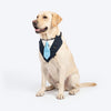 HUFT The Gentleman Bandana For Dog - Blue