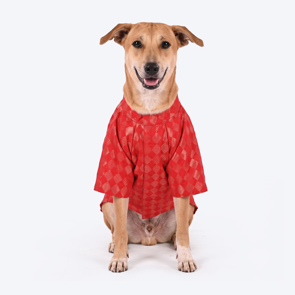 HUFT Customised Laal Jaal Brocade Sherwani For Dog & Cat - Red