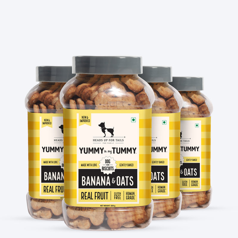 HUFT Yummy In My Tummy Banana & Oats Gluten-Free Dog Biscuits Vegetarian, Wheat-Free Treats for Dogs - Heads Up For Tails