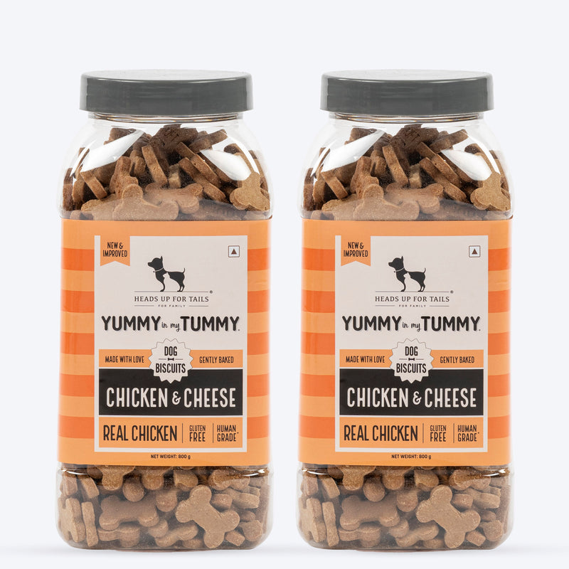 HUFT Yummy In My Tummy Gluten-Free Chicken & Cheese Dog Biscuits Oven-Baked, High Protein, Easy to Digest - Heads Up For Tails