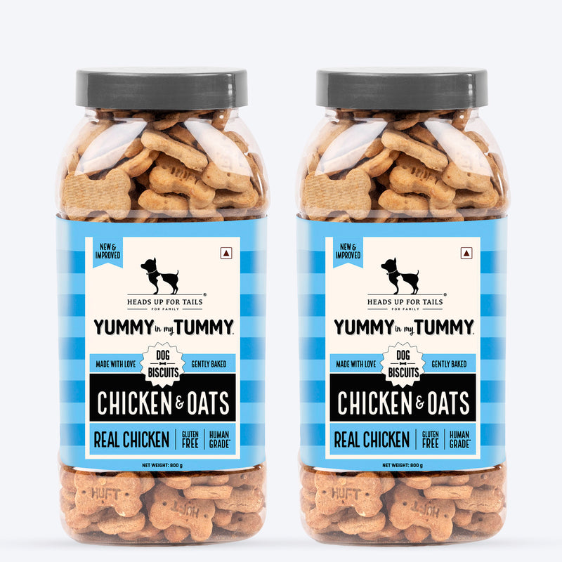 HUFT Yummy In My Tummy Chicken & Oats Gluten-Free Dog Biscuits, Low-Calorie Oven-Baked Treats for Dogs, 100% Human-Grade Ingredients - Heads Up For Tails