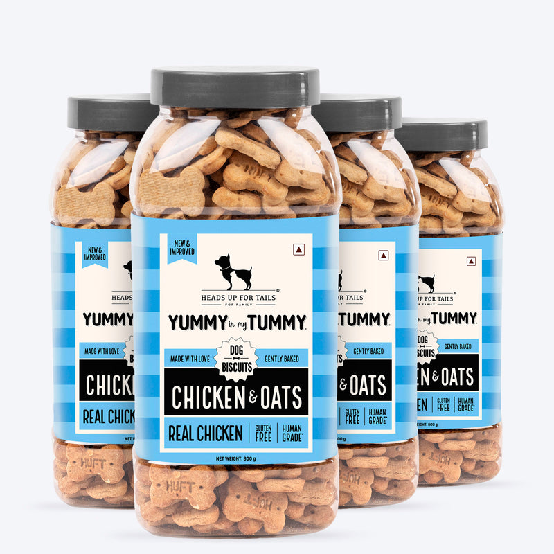 HUFT Yummy In My Tummy Chicken & Oats Gluten-Free Dog Biscuits, Low-Calorie Oven-Baked Treats for Dogs, 100% Human-Grade Ingredients - Heads Up For Tails