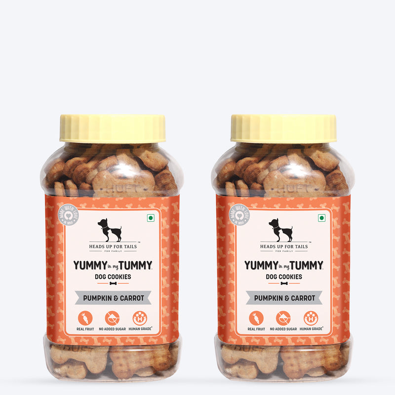 HUFT Yummy In My Tummy Pumpkin & Carrots Vegetarian Dog Biscuits - 320 gm - Heads Up For Tails