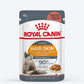 Royal Canin Wet Food & HUFT Whisker Wand Cat Toy : Shiny Coat & Playtime Combo - (24 x 85 gm) - Heads Up For Tails