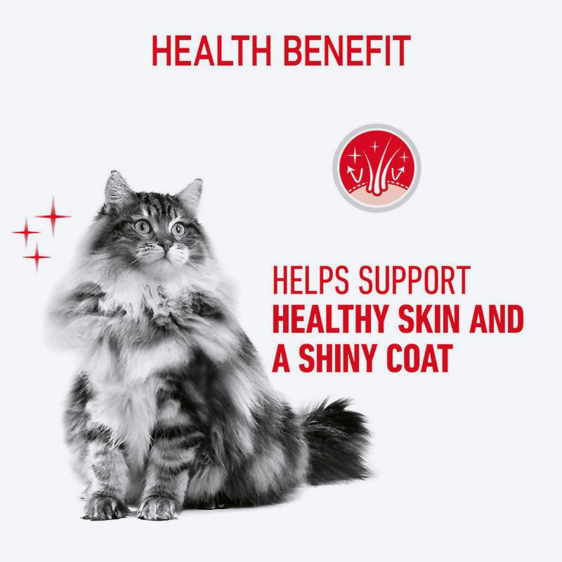Royal Canin Hair & Skin Care In Gravy Adult Cat Wet Food - 85 g_04