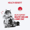 Royal Canin Hair & Skin Care In Gravy Adult Cat Wet Food - 85 g_04