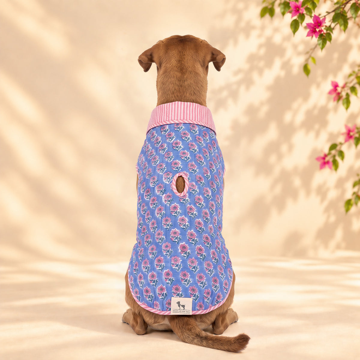 HUFT Jaipuri Phool Block-Printed Jacket For Dog - Blue & Pink