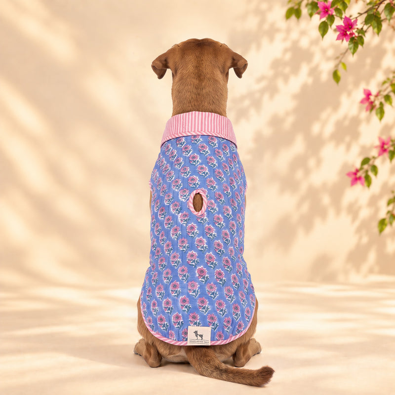 HUFT Jaipuri Phool Block-Printed Jacket For Dog - Blue & Pink