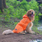 HUFT Rain Dancers Raincoats For Dog & Cat - Orange