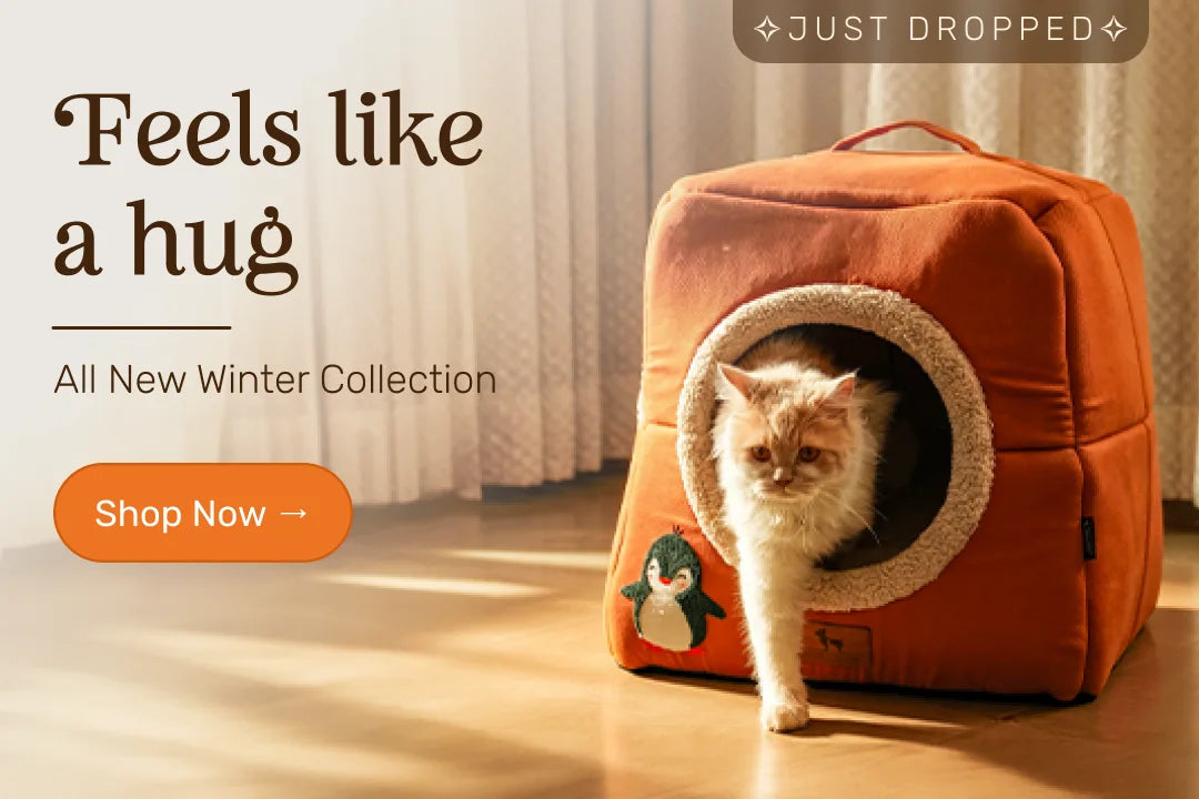 Winter' 26 for cats