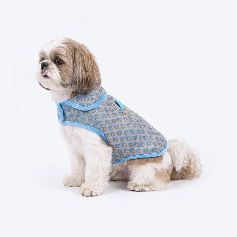 HUFT Regal Bloom Sherwani For Dog - Blue