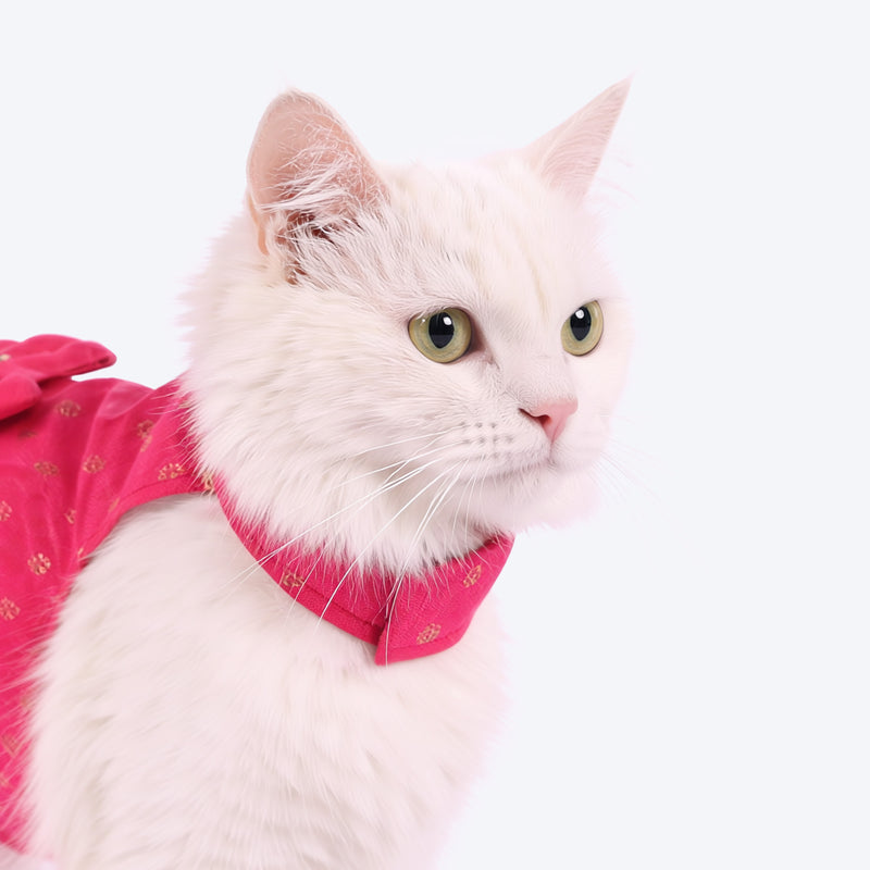 HUFT Rani Royale Dress For Cat - Pink