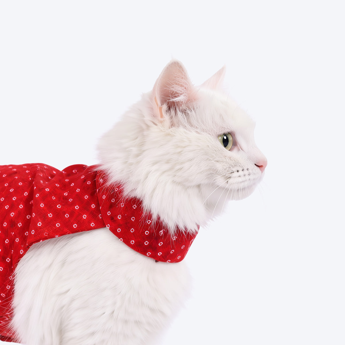 HUFT Bandhani Pop Dress For Cat - Red