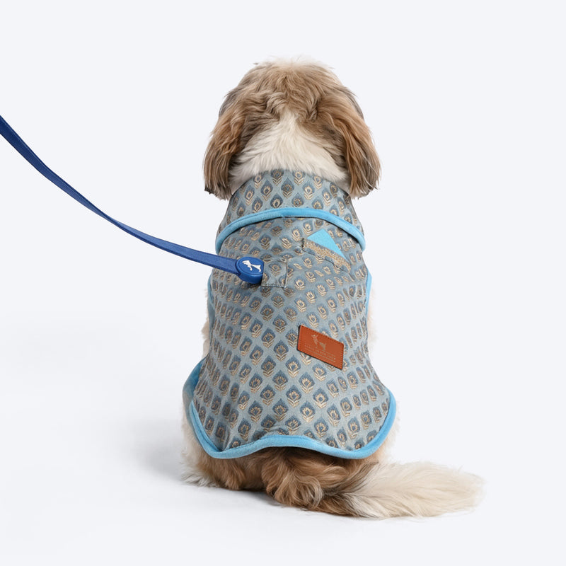HUFT Regal Bloom Sherwani For Dog - Blue