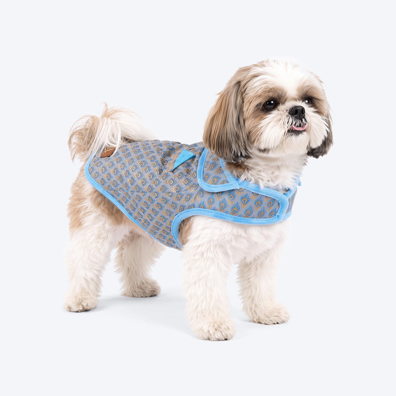 HUFT Regal Bloom Sherwani For Dog - Blue