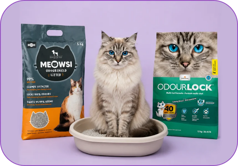Cat Litter
