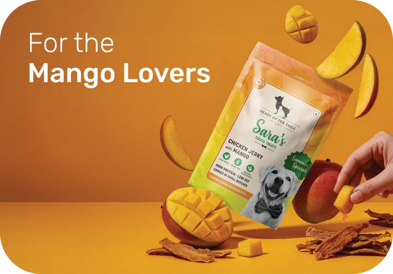 Starts at ₹249