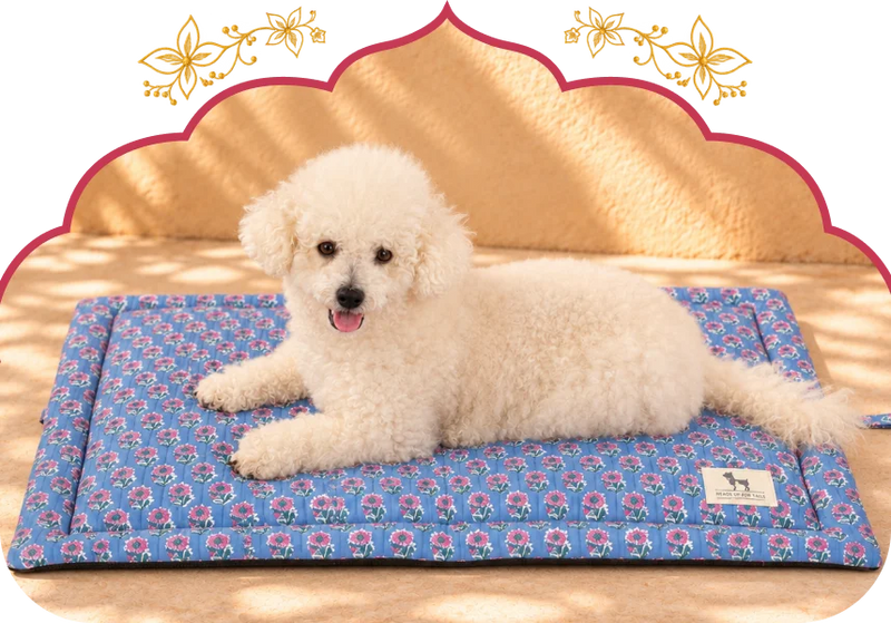 Shop Mats →