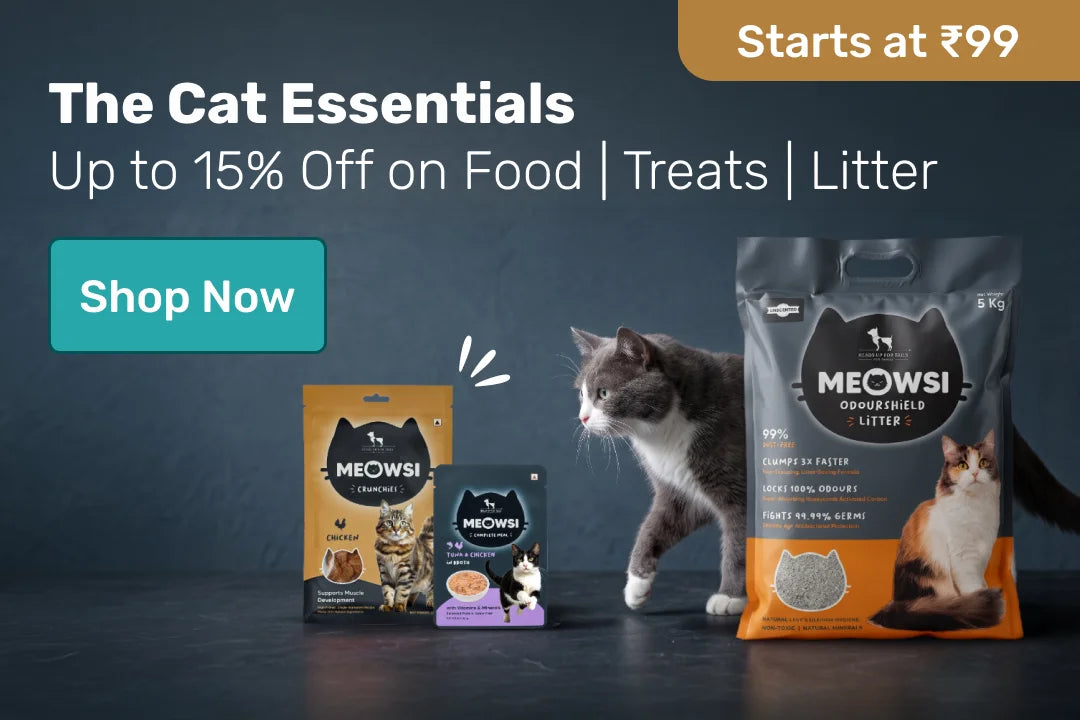 Meows